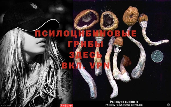 кокаин Кущёвская