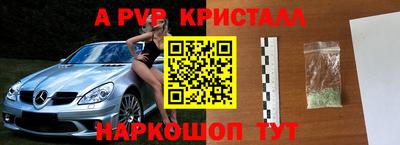эйфоретик Малгобек