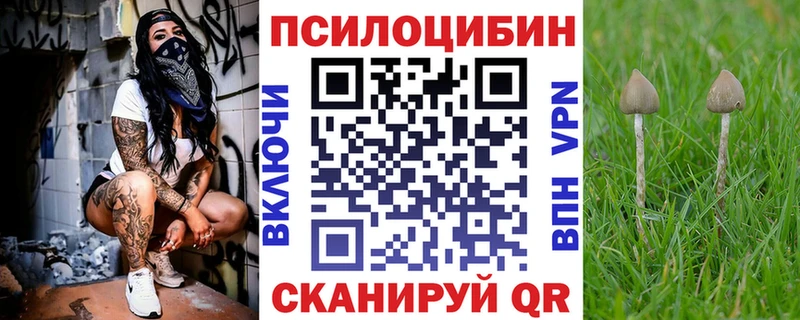 кракен ссылки Биробиджан Псилоцибиновые грибы Psilocybe