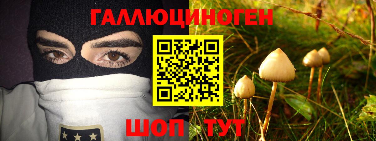 Псилоцибиновые грибы MAGIC MUSHROOMS  Вход с VPN  Биробиджан 