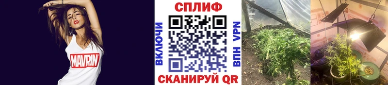 Каннабис тримм наркотики Биробиджан